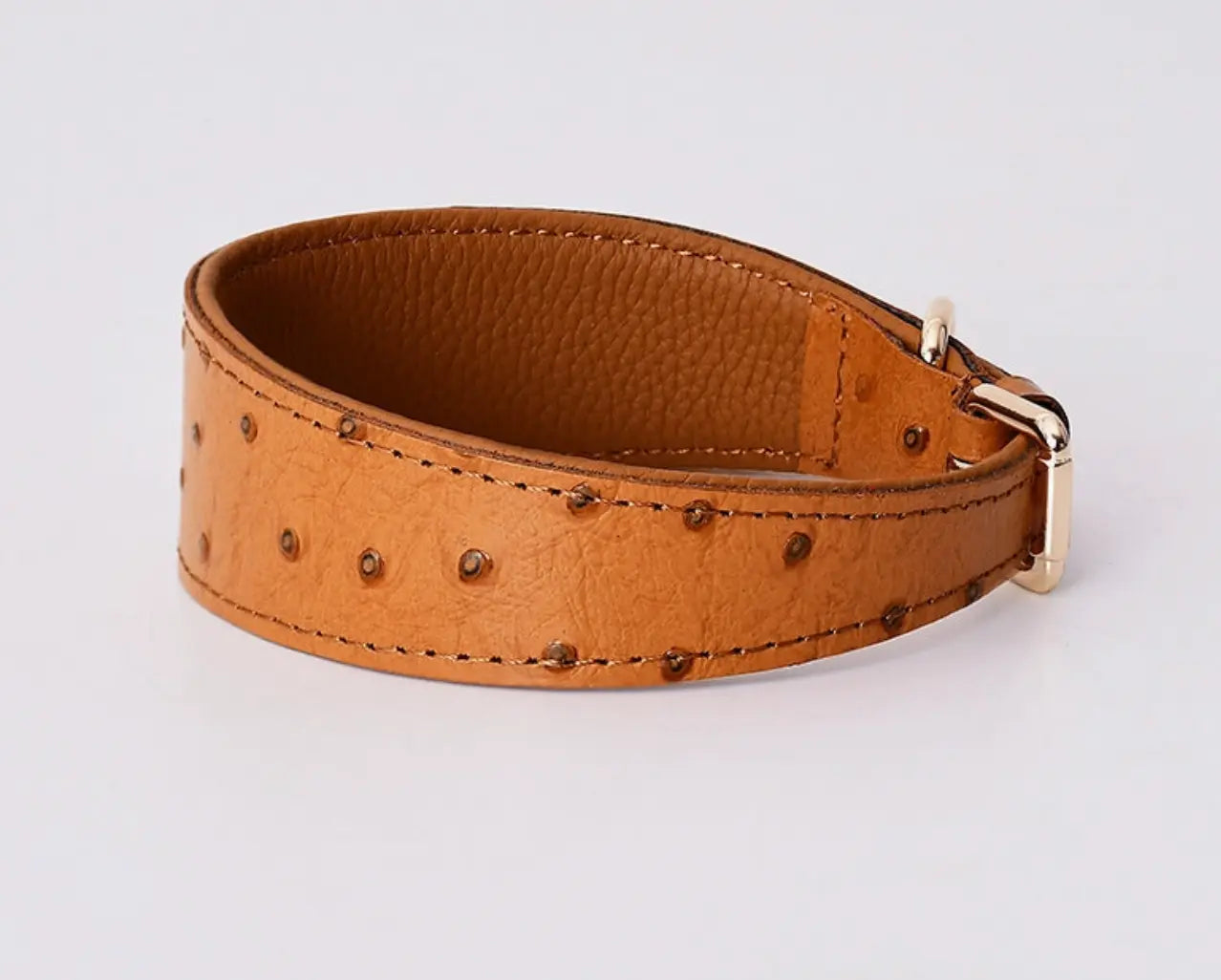 The Clyde Leather Solid Dog Collar The Little Pooch
