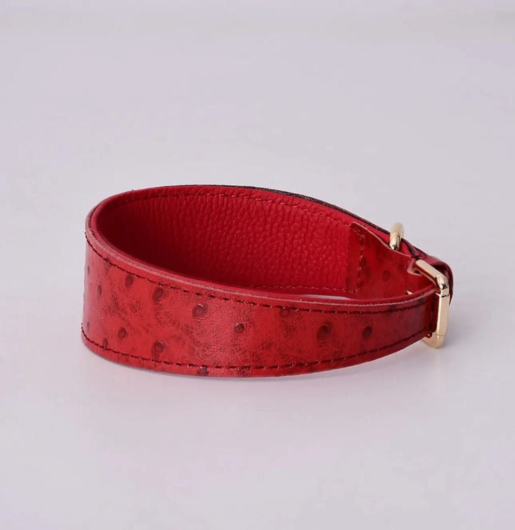 The Clyde Leather Solid Dog Collar The Little Pooch