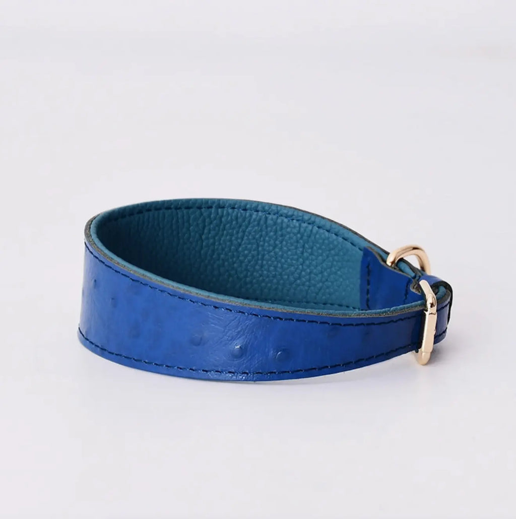 The Clyde Leather Solid Dog Collar The Little Pooch