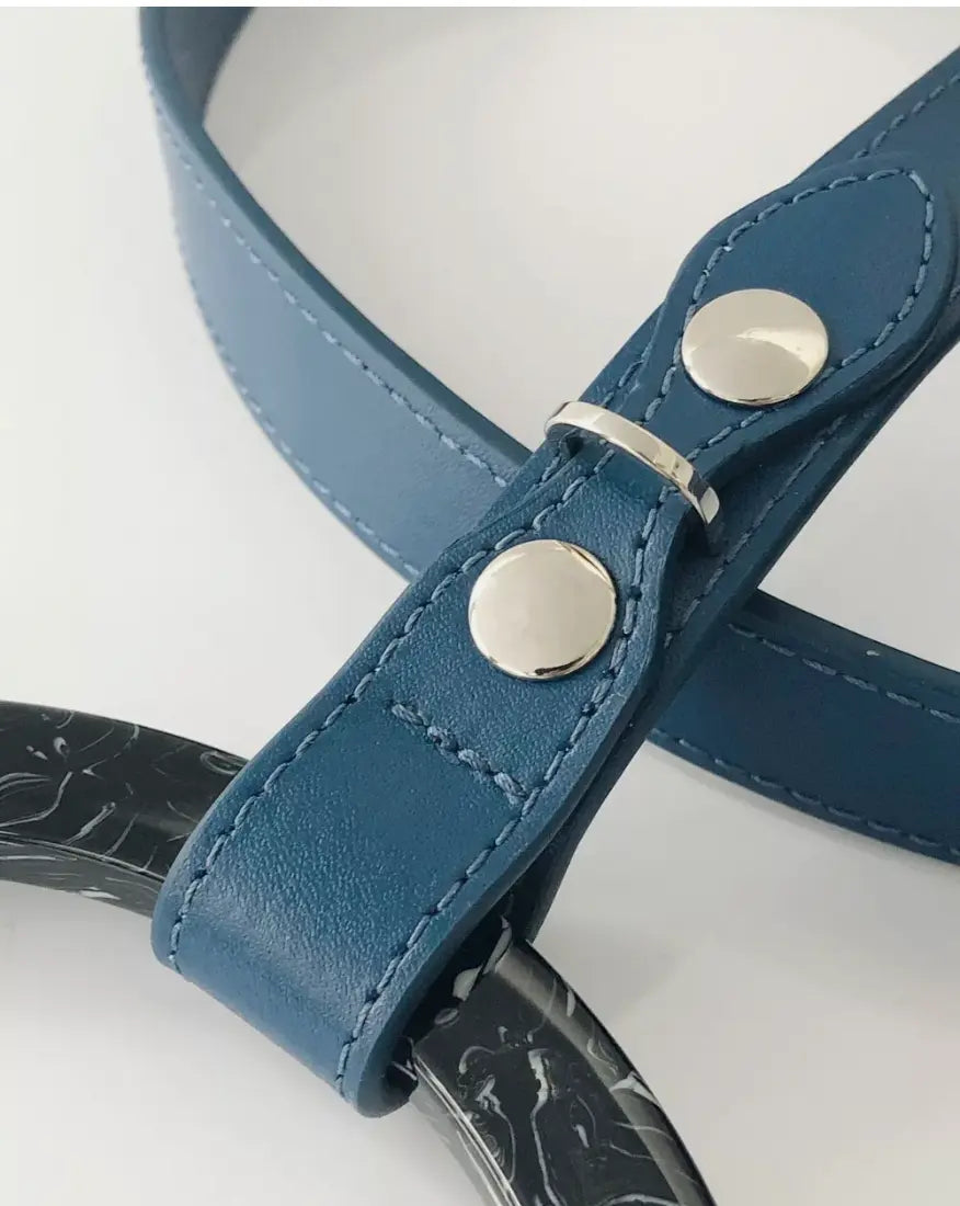 Long Susan Leather Dog Leash with Acrylic Handle Shaya Pets