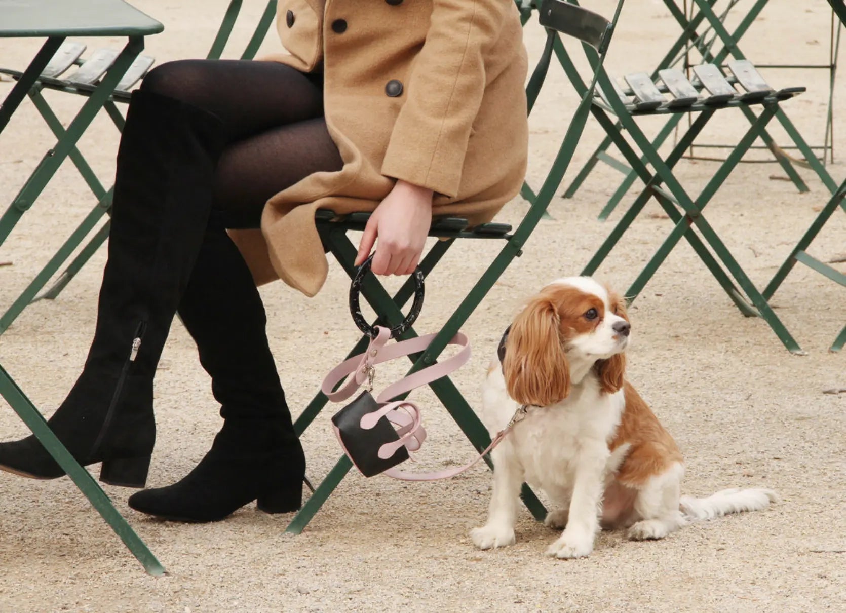 Long Susan Leather Dog Leash with Acrylic Handle Shaya Pets