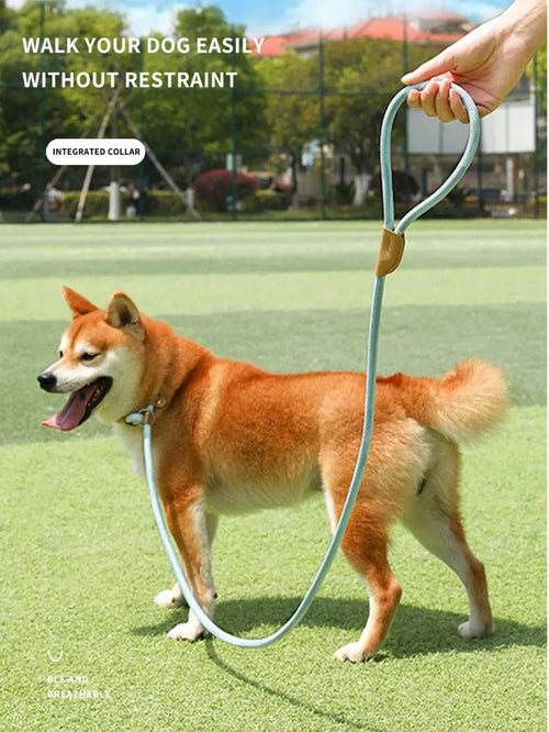 Adjustable Rope Collar Combo Dog Leash Furlou