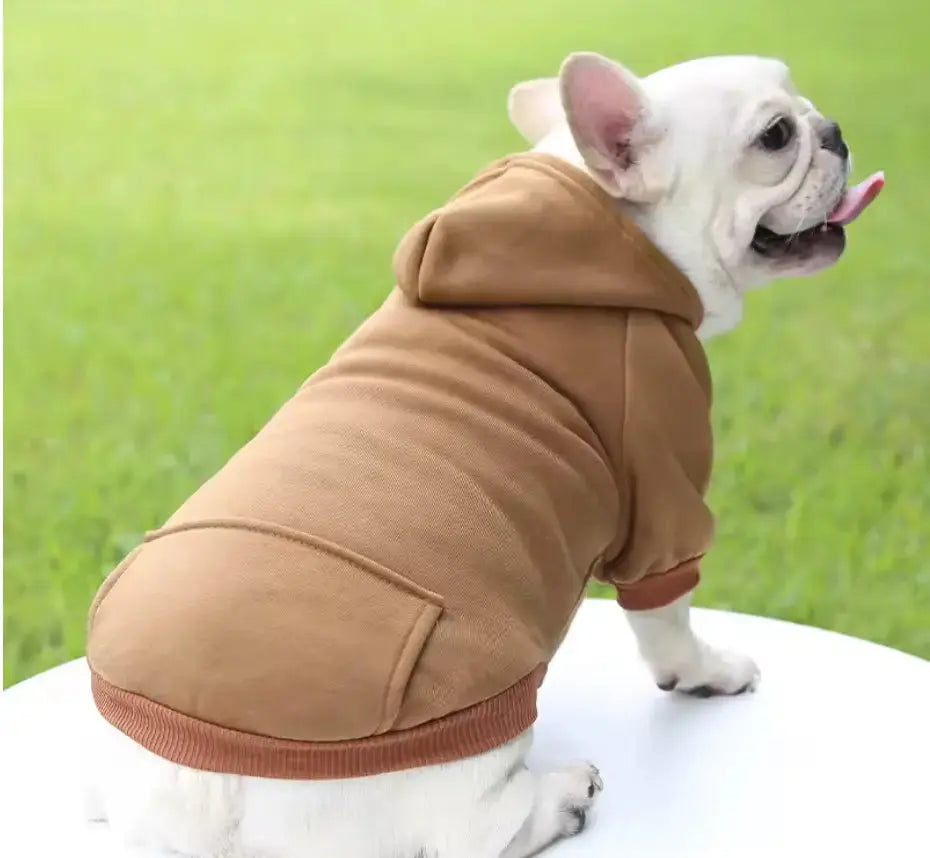 Comfy Dog Sweatshirt Hoodie – Brown, Ivory, Red (Sizes S–L) Beige Antigone
