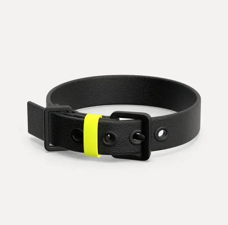 Leather Neon Accent Collar The Little Pooch