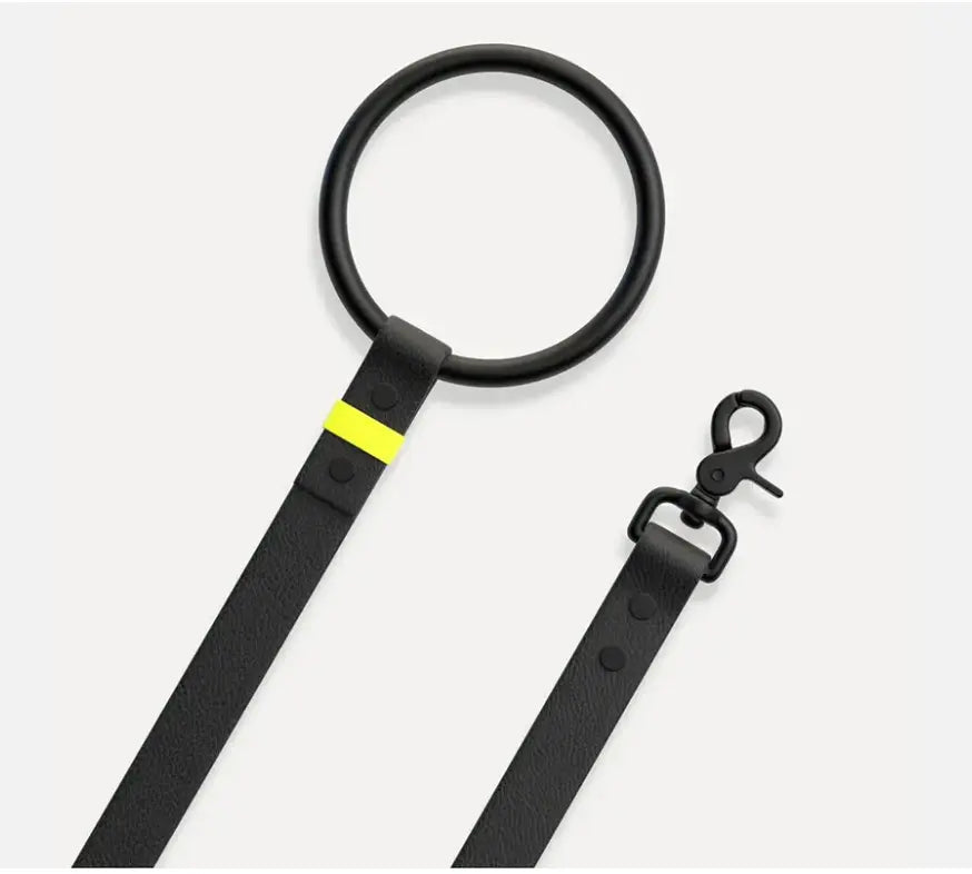 Neon Stripe Leather O-ring Leash & Collar Set The Little Pooch