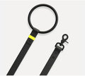 Neon Stripe Leather O-ring Leash & Collar Set The Little Pooch