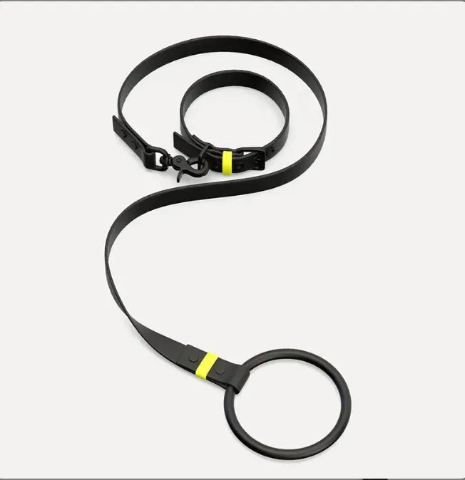 Neon Stripe Leather O-ring Leash & Collar Set The Little Pooch
