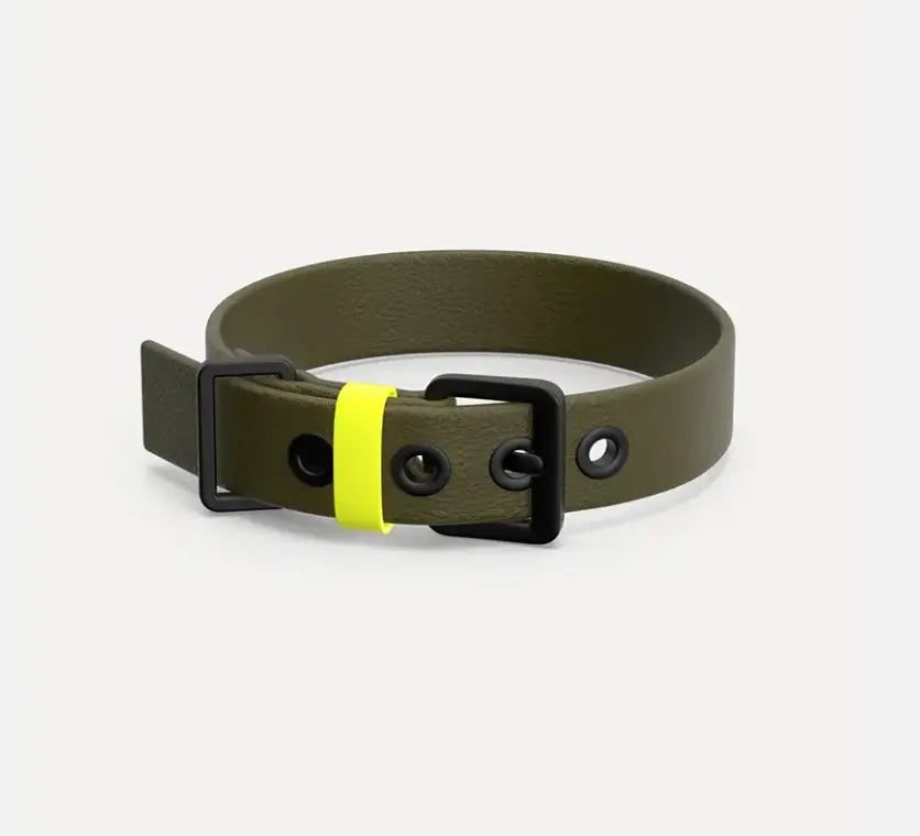 Neon Stripe Leather O-ring Leash & Collar Set The Little Pooch