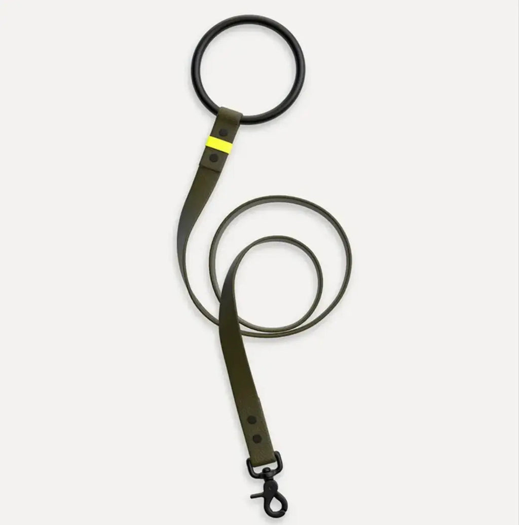 Neon Stripe Leather O-ring Leash & Collar Set The Little Pooch