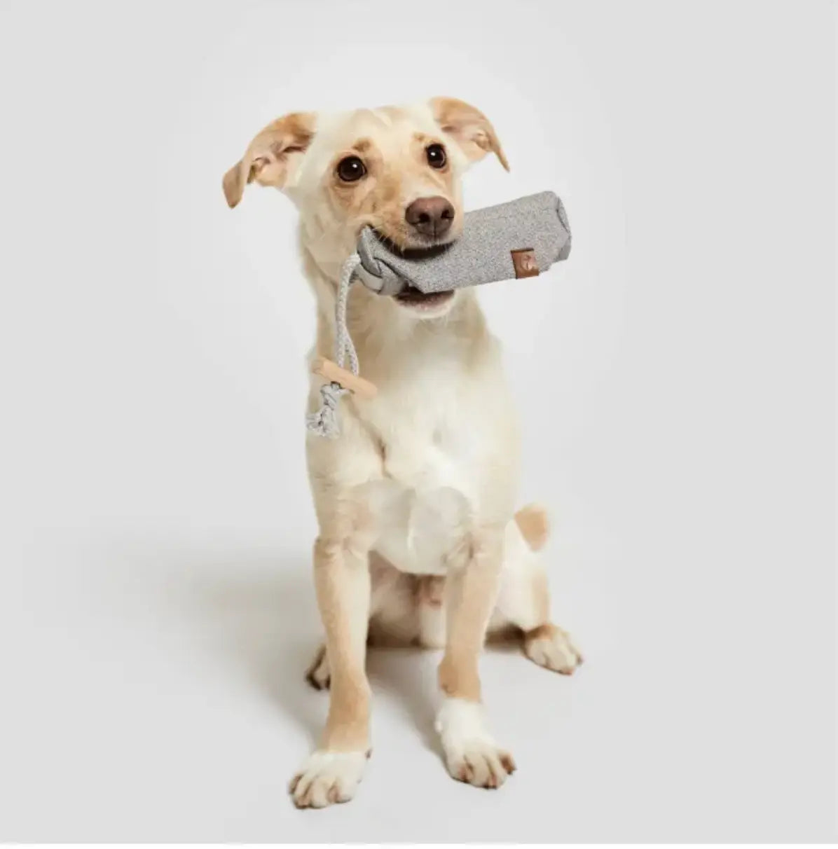 Stylish dog treat bag