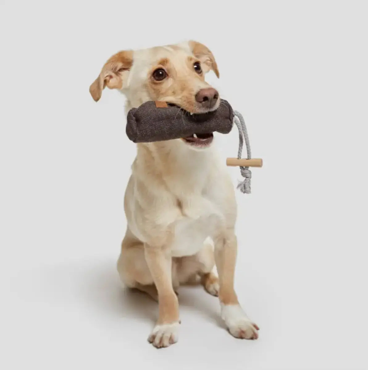 Dog treat bag