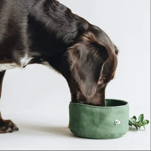 Waterproof Portable Pet Dog Water Bowl Waxed Canvas Pet Feeding Bowl The Little Pooch