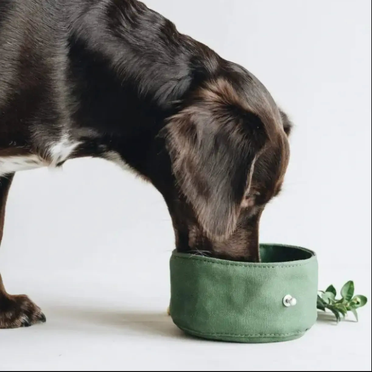 Waterproof Portable Pet Dog Water Bowl Waxed Canvas Pet Feeding Bowl The Little Pooch