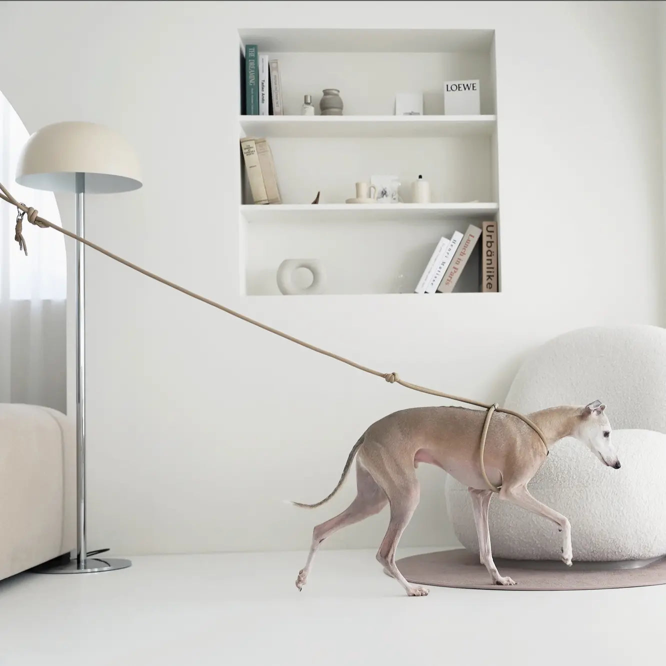 Y-Elite All-in-One Harness Leash Hozi