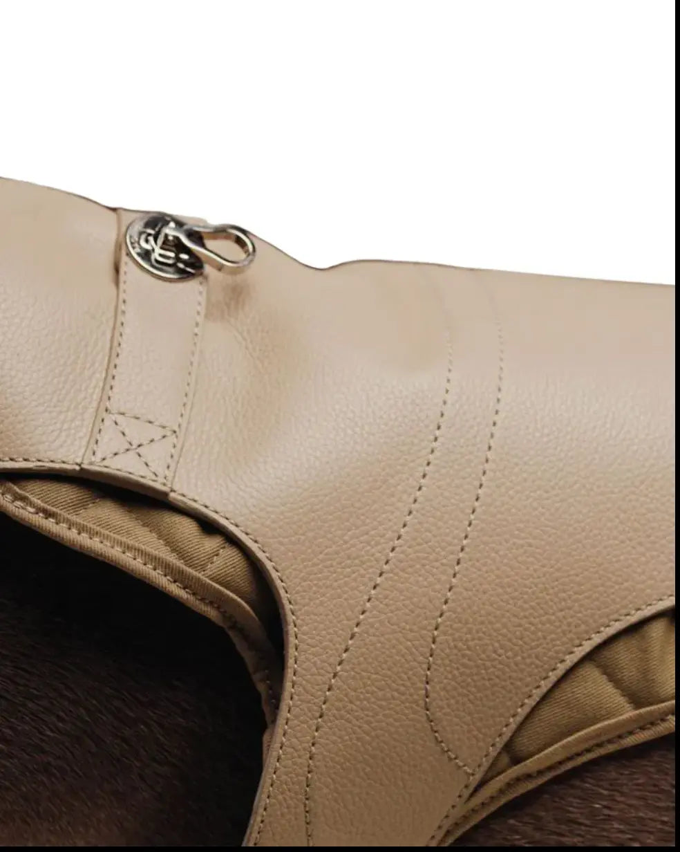 Quilted Leather Harness The Little Pooch