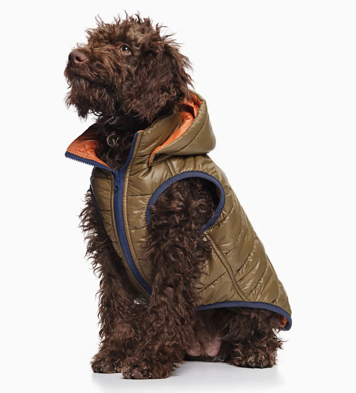 Reversible Puffer Jacket, Olive / Orange Love Thy Beast