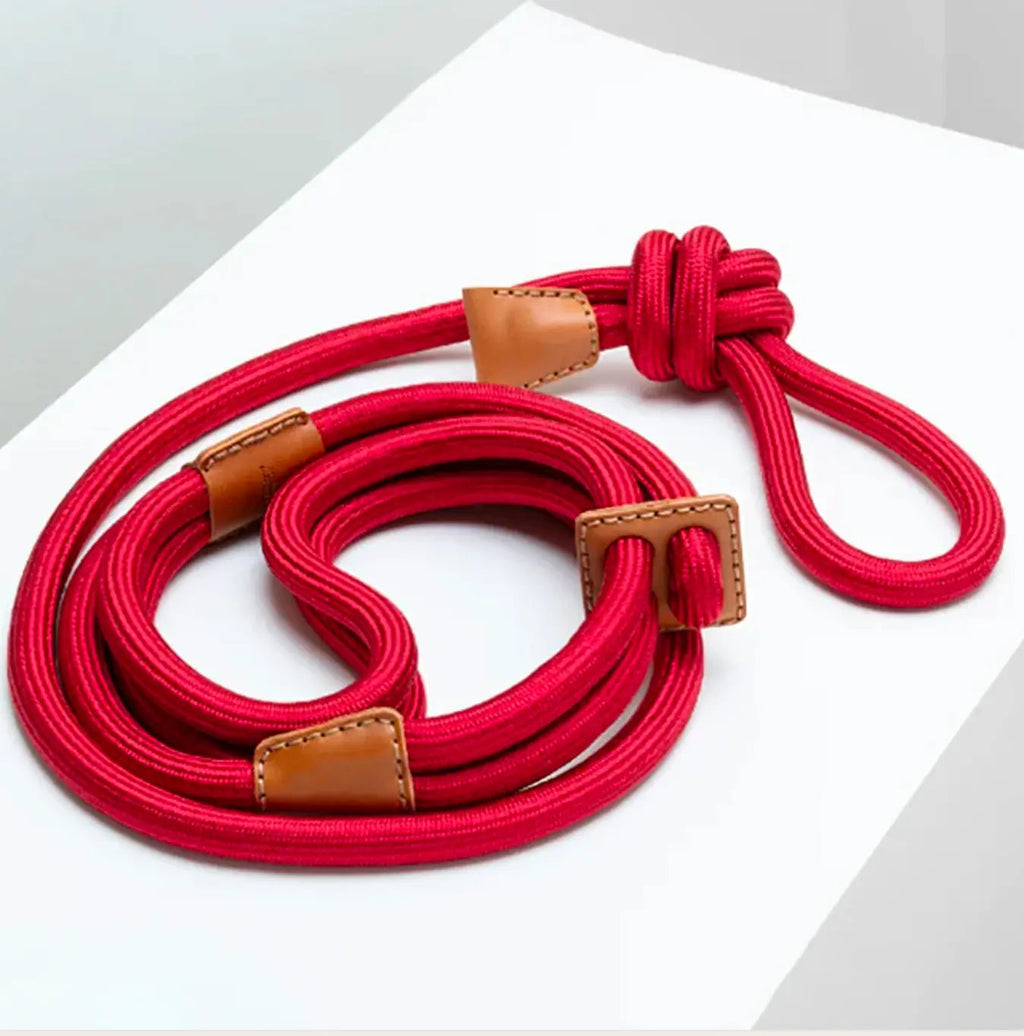All-in-One Leather Leash and Harness Set The Little Pooch
