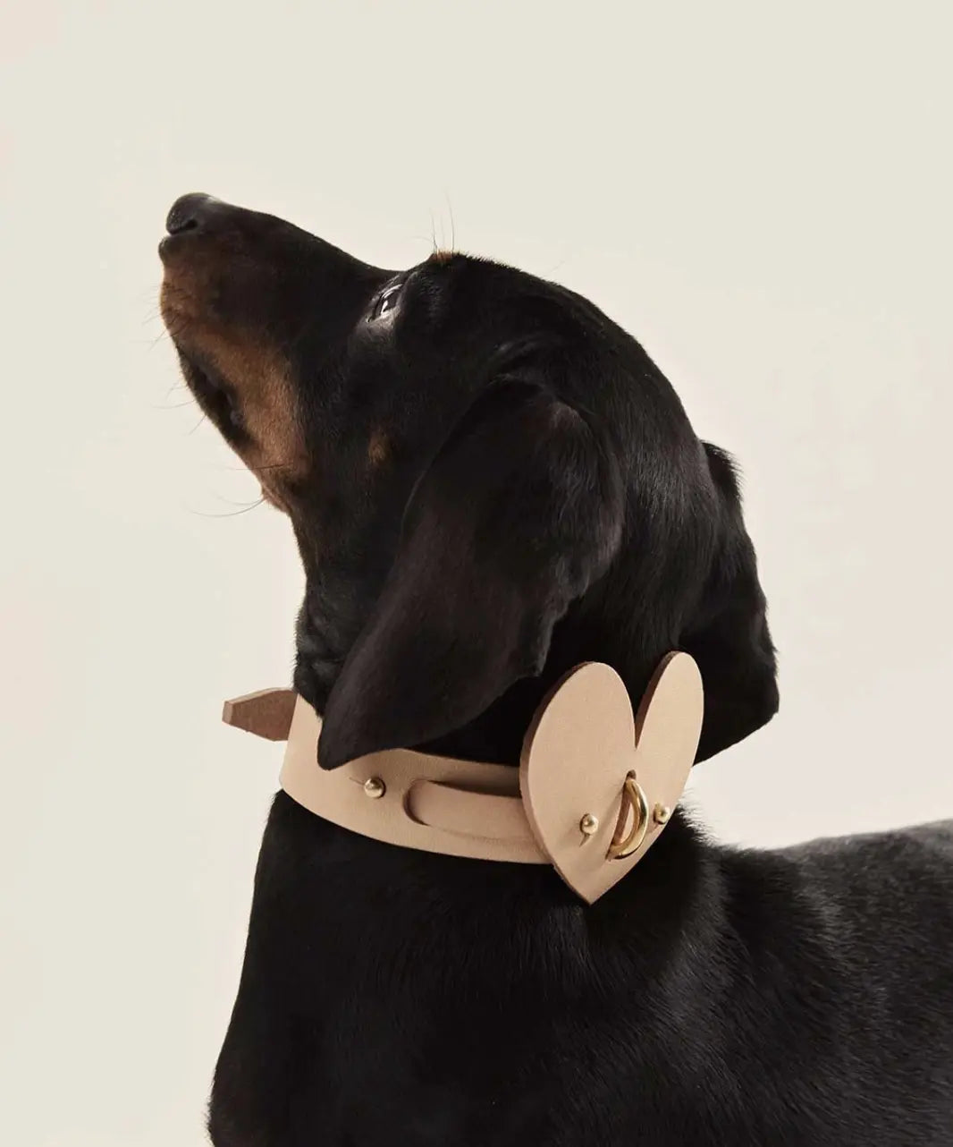 Leather Dog Heart Collar Accessory INDÓMITO