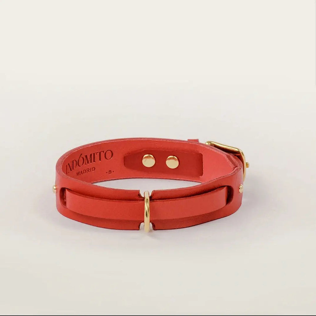 The  Handcrafted Heart & Soul Leather Dog Collar INDÓMITO