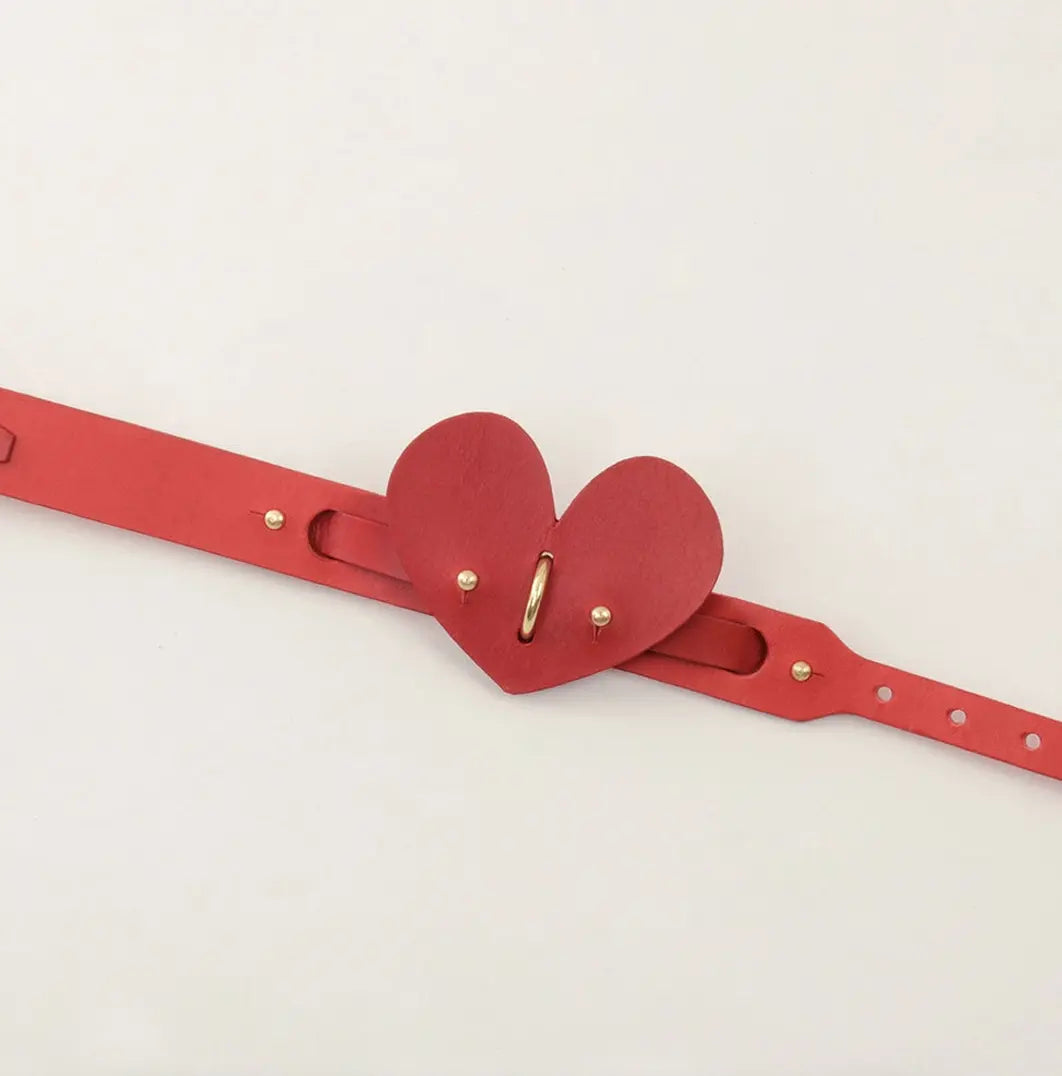 The  Handcrafted Heart & Soul Leather Dog Collar INDÓMITO