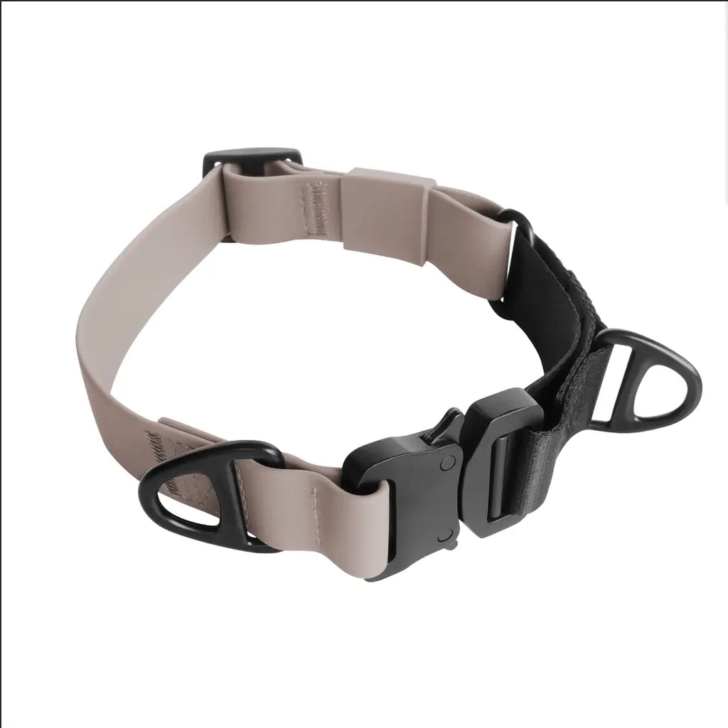 Ava Martingale//Dog Collar The Little Pooch