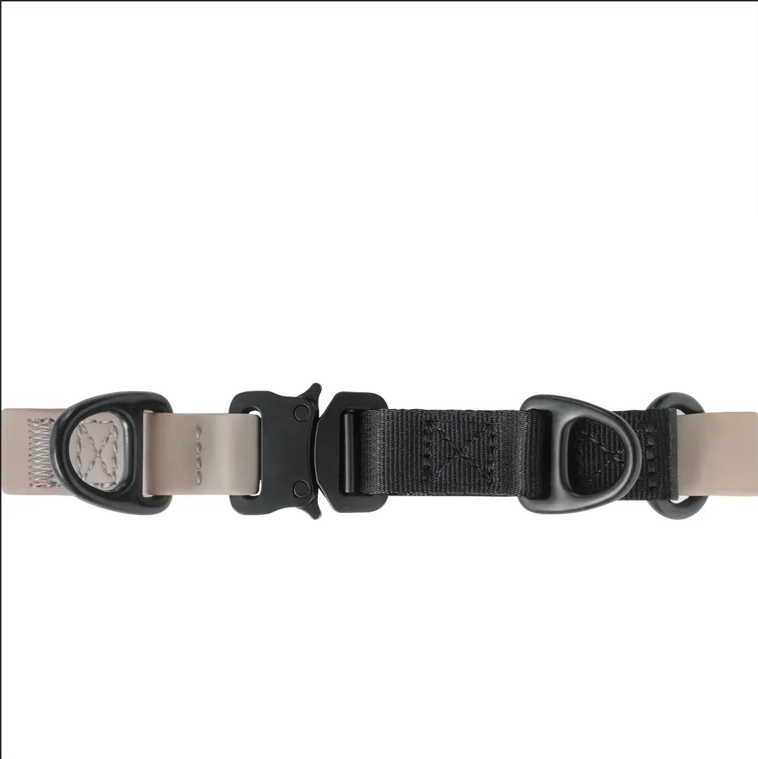 Ava Martingale//Dog Collar The Little Pooch
