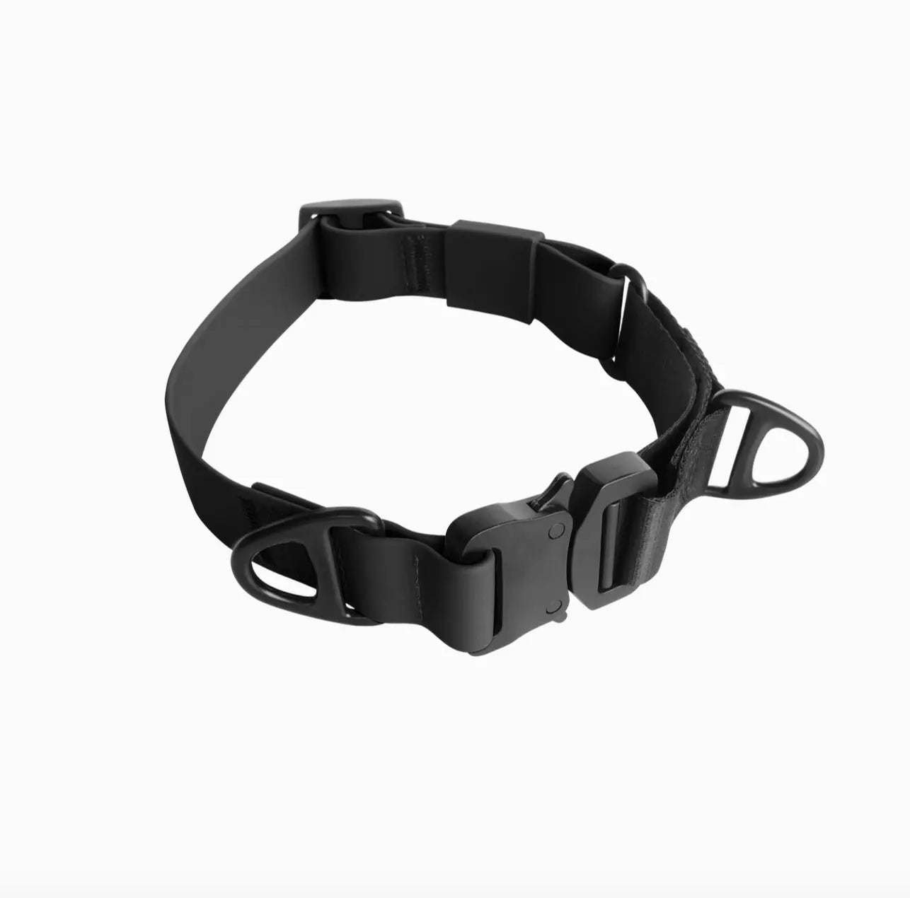 Ava Martingale//Dog Collar The Little Pooch