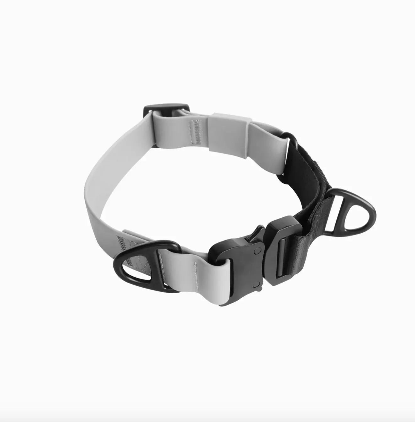 Ava Martingale//Dog Collar The Little Pooch