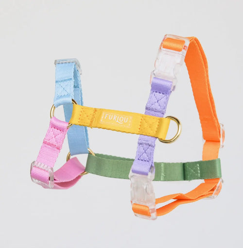 Radiant Rover Dog Harness Furlou