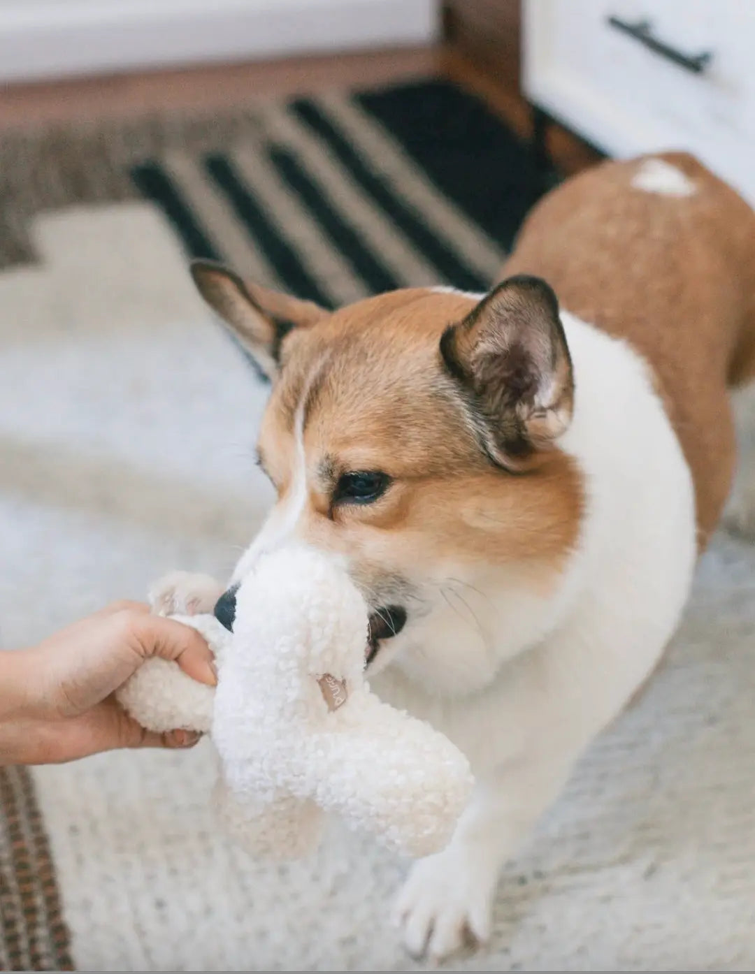 Hugs Boucle Toy Pruff