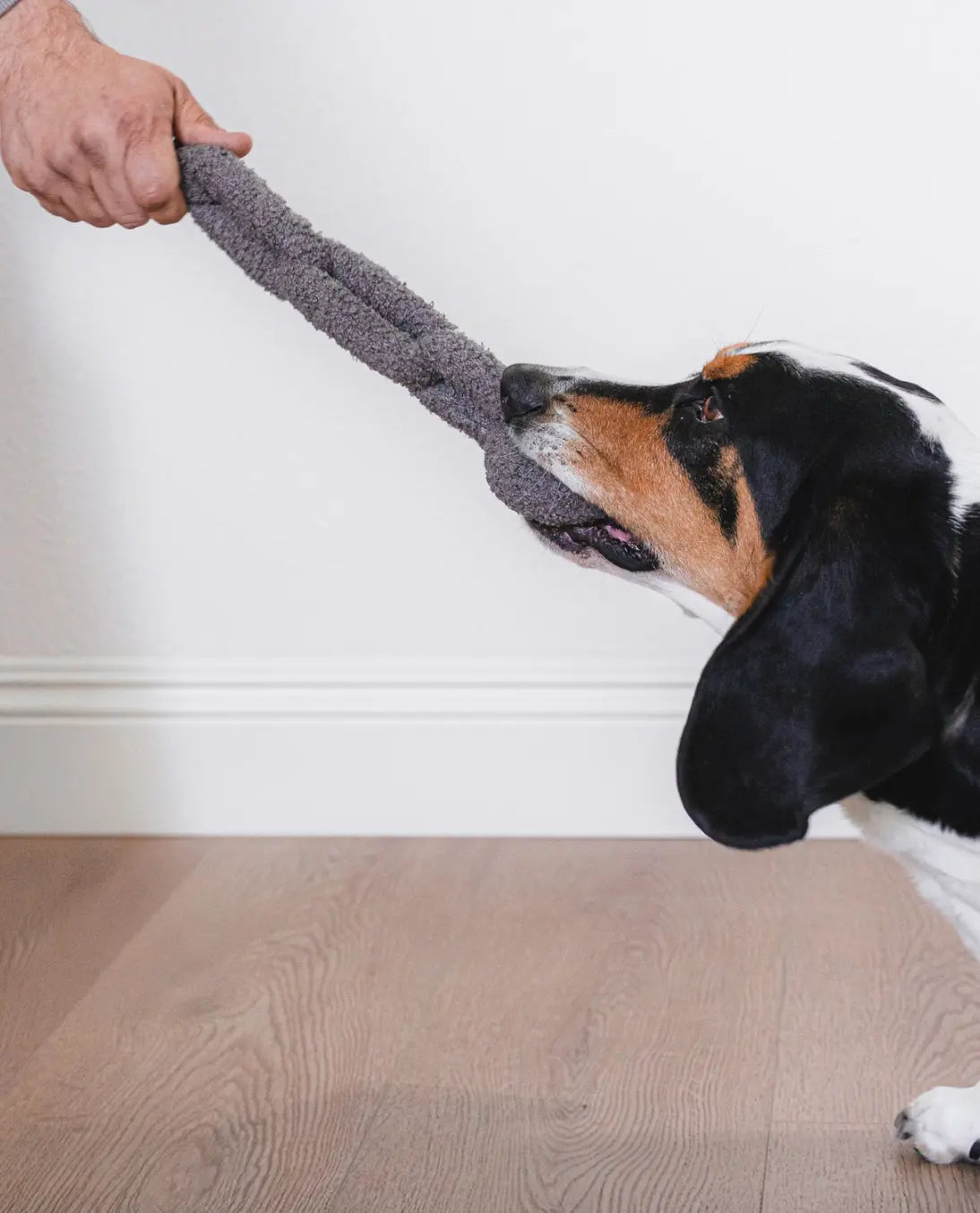 Boucle Many Links Super Chewer Plush Toy Pruff