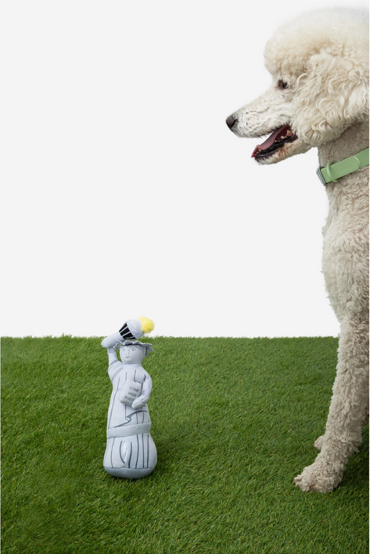 Liberty Nose Work Dog Toy / Enrichment Dog Toy