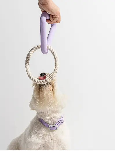Super Chewer Small Triangle Tug Dog Chew Toy Pruff