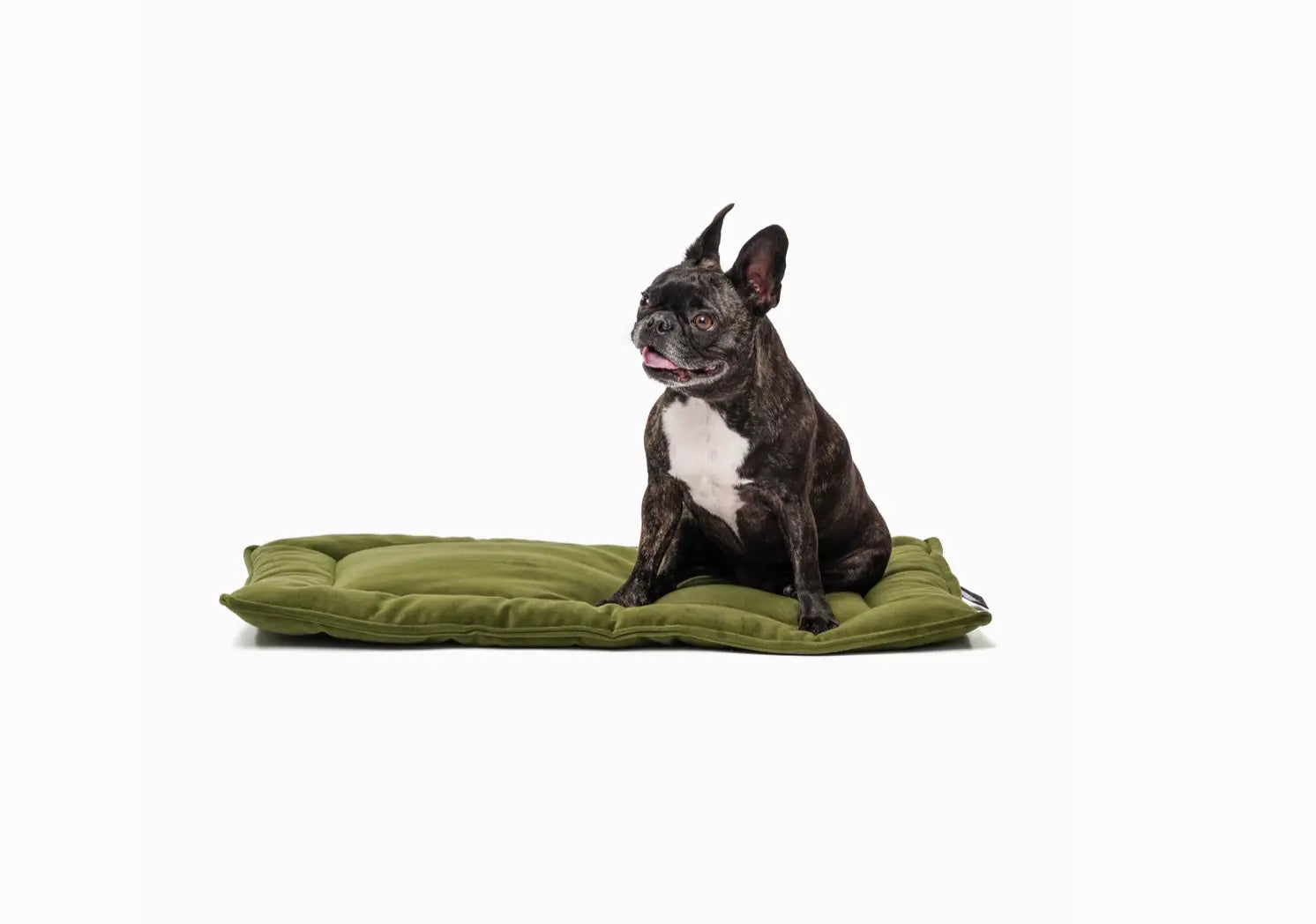Luxury Reversible Dog Mat – Washable Velvet or Canvas Crate Pad Reversible Dog Mat – Washable Velvet or Canvas Crate Pad – Plush, USA-Made Pet Bed for Everyday Use – Machine Washable Dog Mat for Crate, Travel, or Home Treat your pet to comfort and style w
