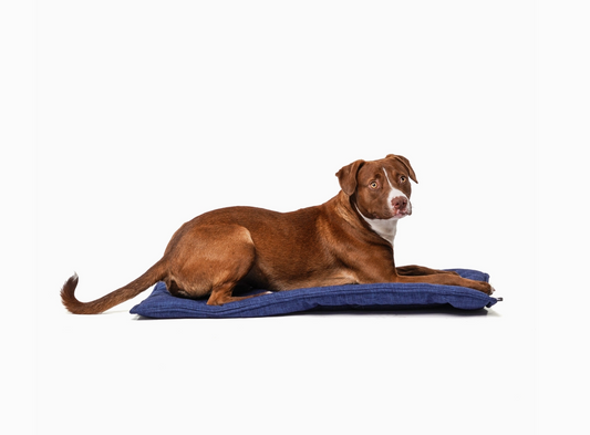Luxury Reversible Dog Mat – Washable Velvet or Canvas Crate Pad