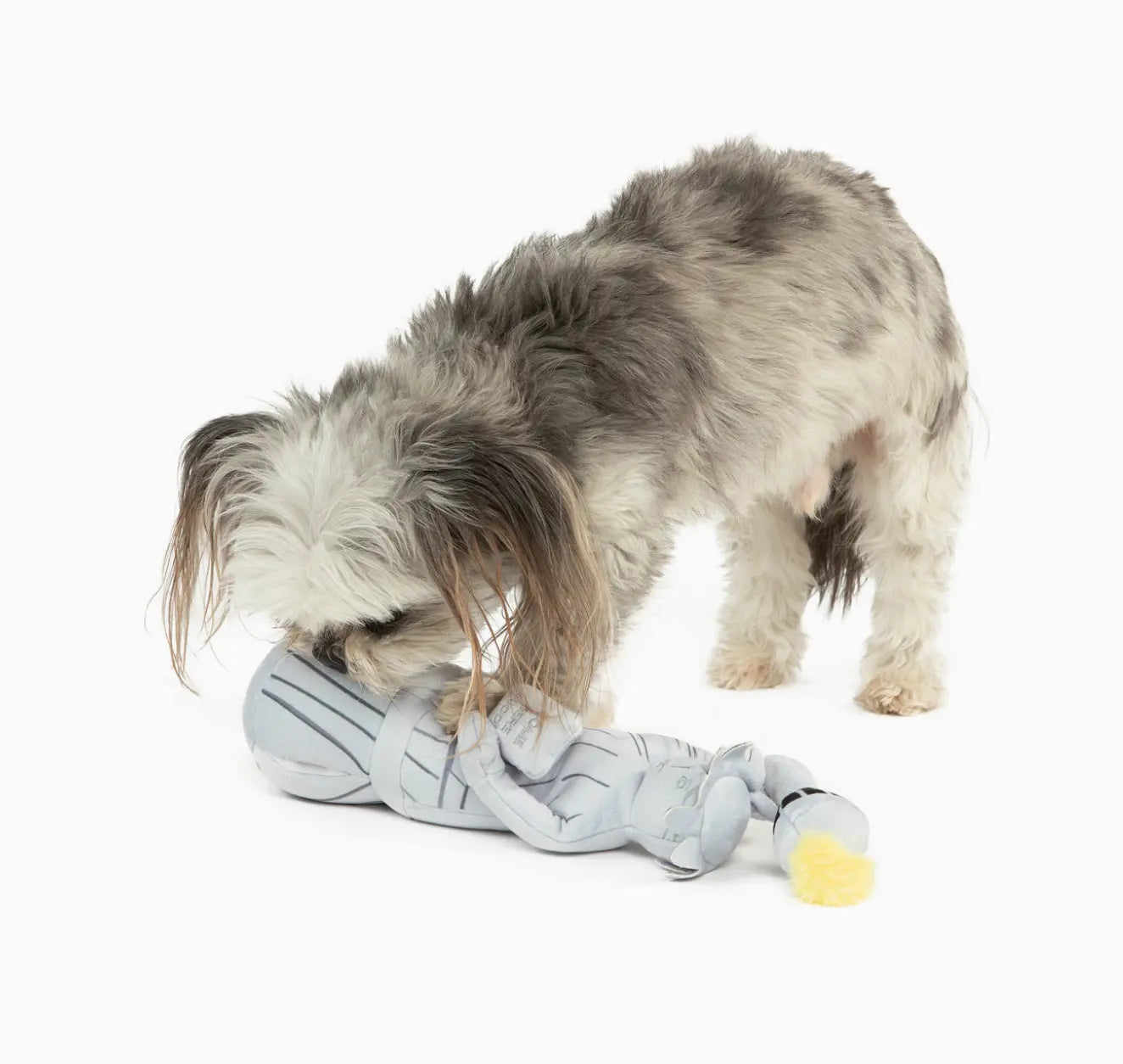 Liberty Nose Work Dog Toy / Enrichment Dog Toy Pruff