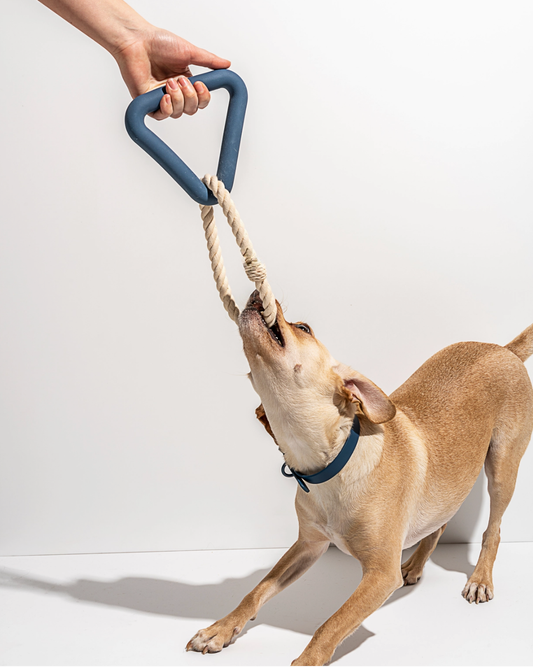 Super Chewer Small Triangle Tug Dog Chew Toy