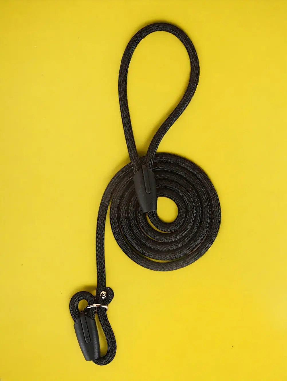 Lifetime Training Leash The Little Pooch