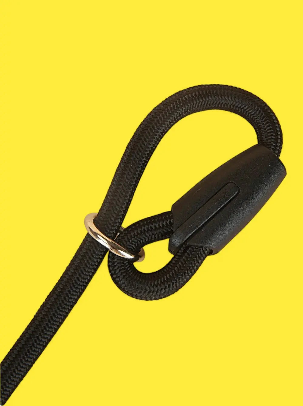 Lifetime Training Leash The Little Pooch