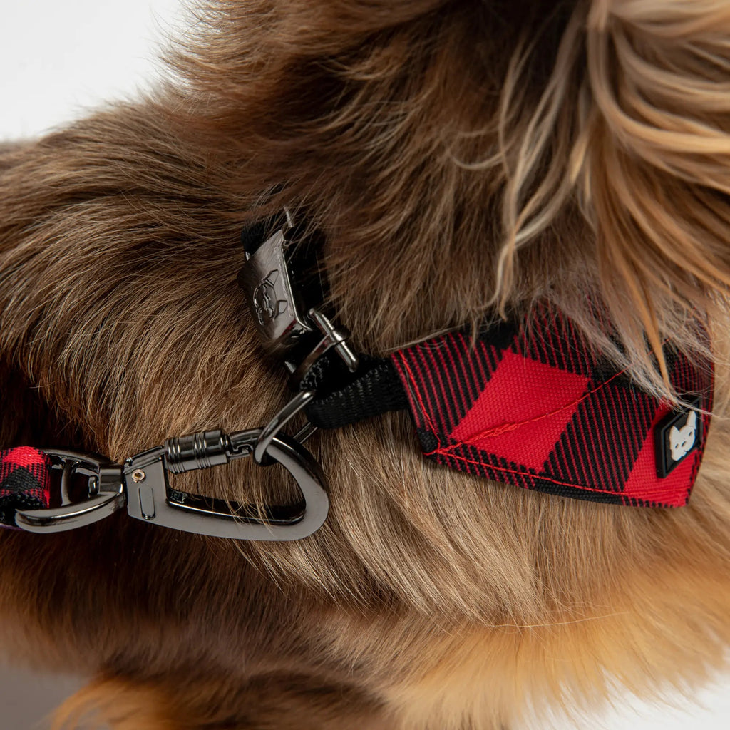 Poplin Dog Leash - Red Plaid Copper Nesoi