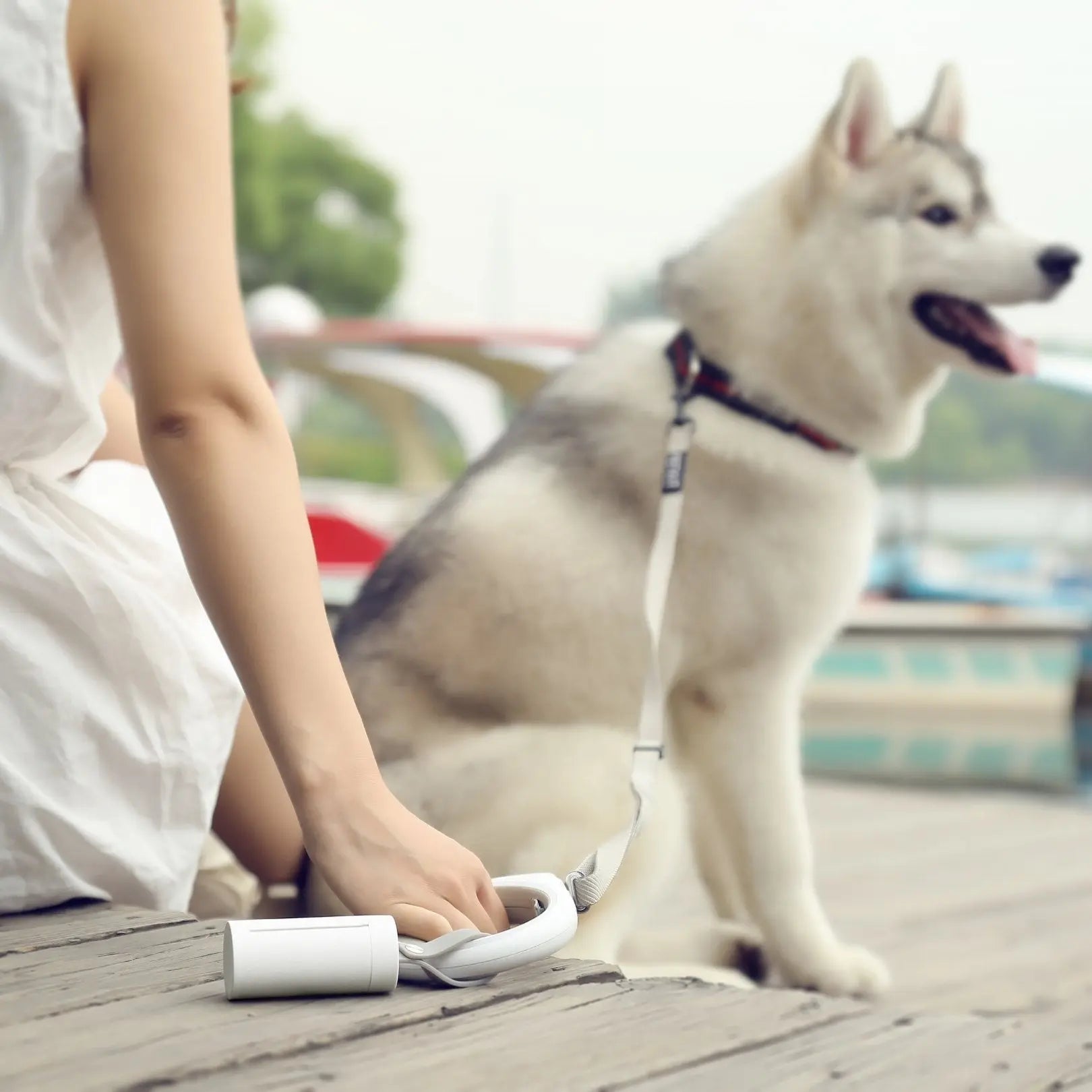 Instachew SLEEK Waste Bag Dispenser Sky Blue Arachne