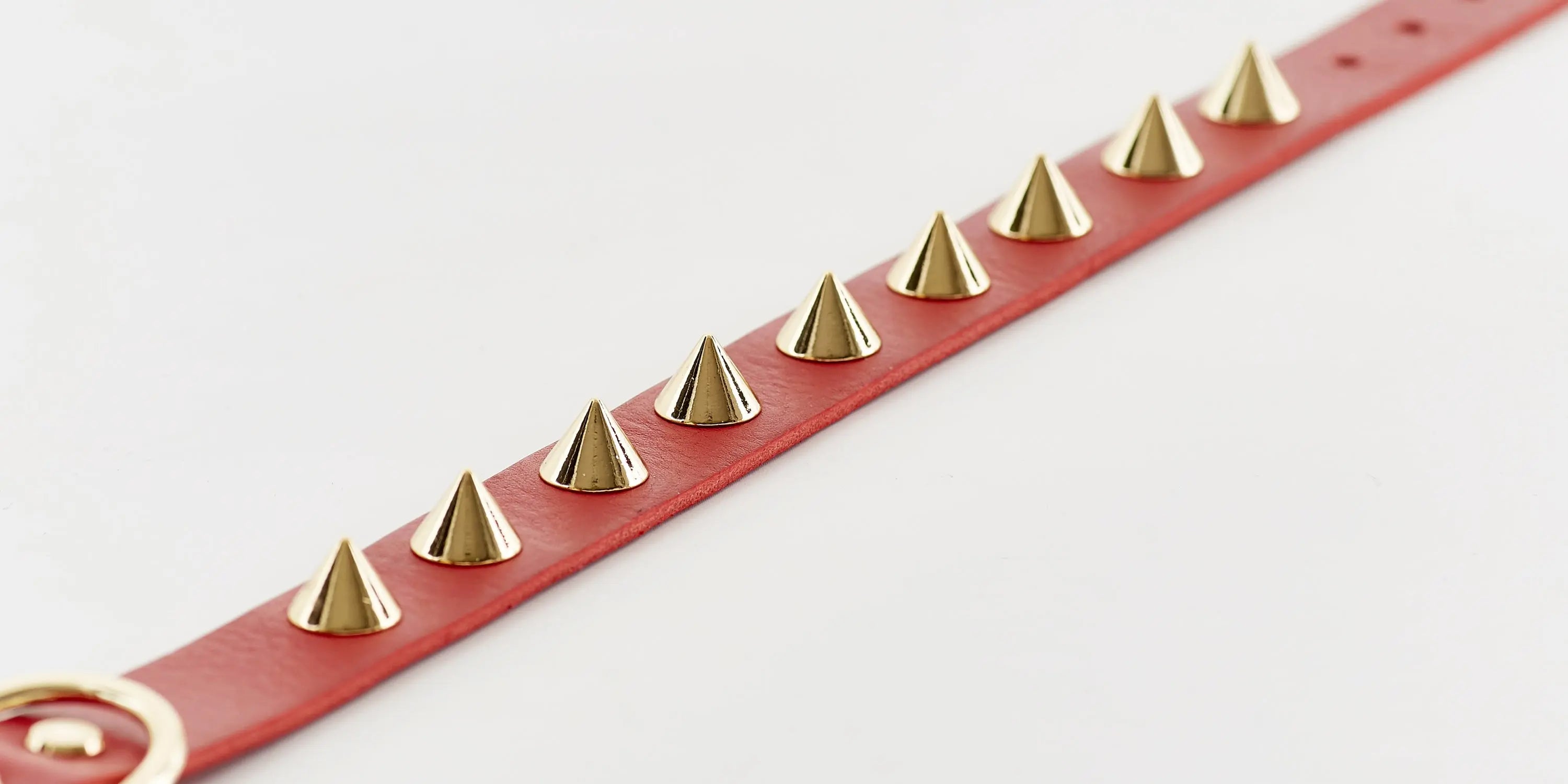 Golden Spike Dog Collar Emerald Alfie