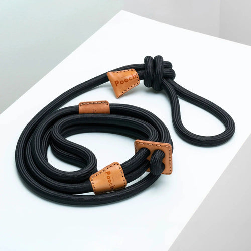 All-in-One Leather Leash and Harness Set The Little Pooch