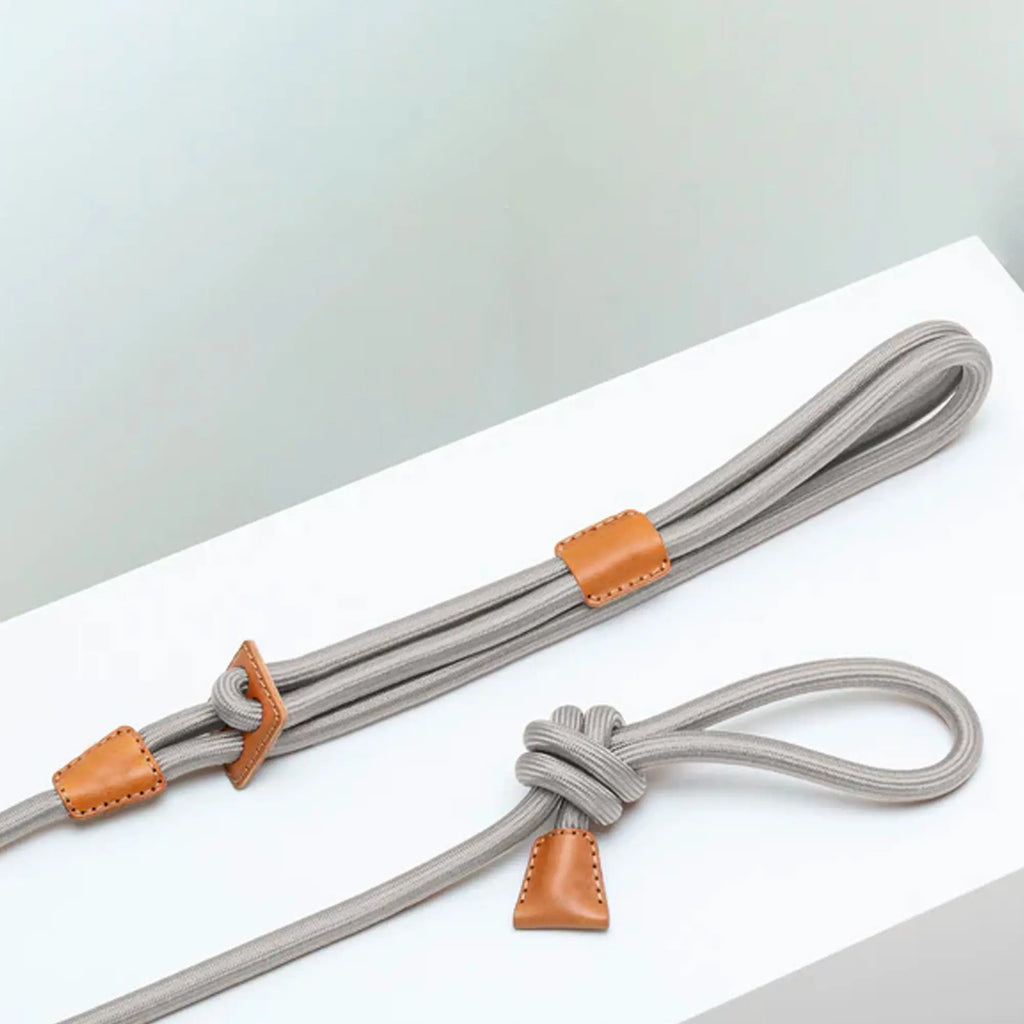 All-in-One Leather Leash and Harness Set The Little Pooch