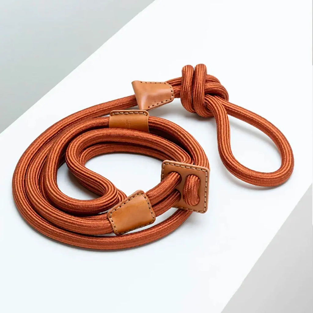 All-in-One Leather Leash and Harness Set The Little Pooch