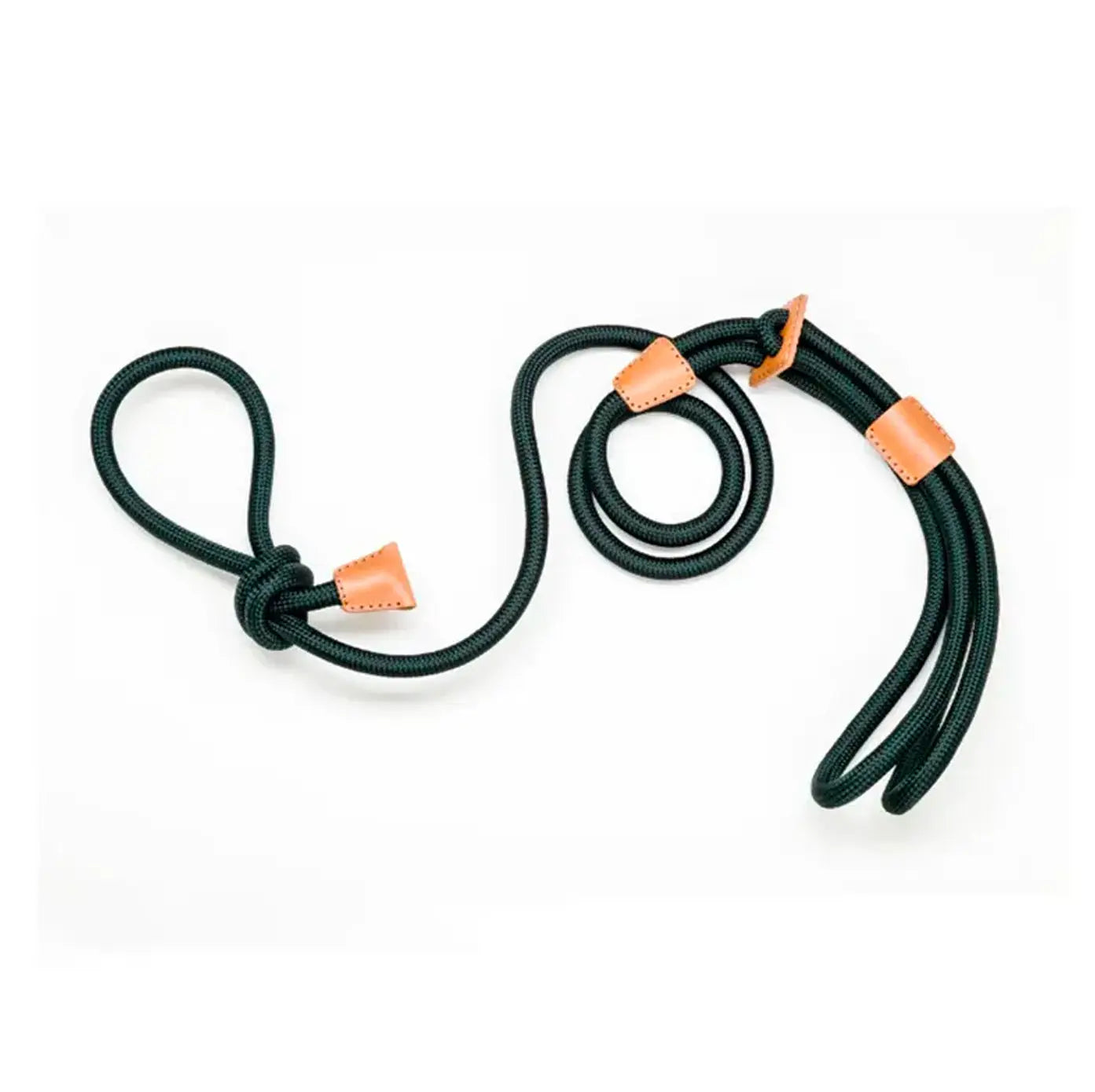 All-in-One Leather Leash and Harness Set The Little Pooch