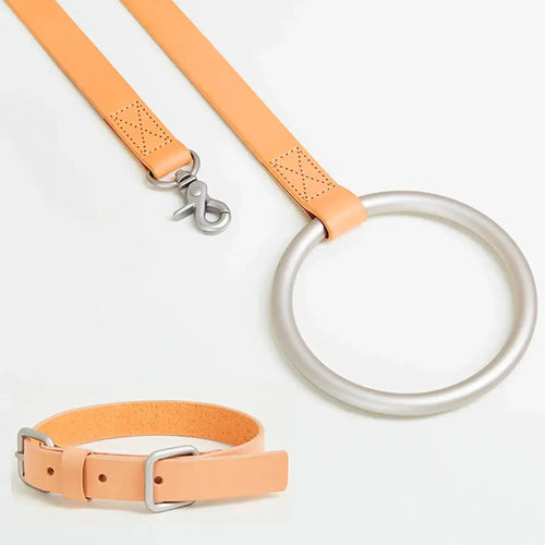 Aluminum and Leather O-ring Leash & Collar Set The Little Pooch
