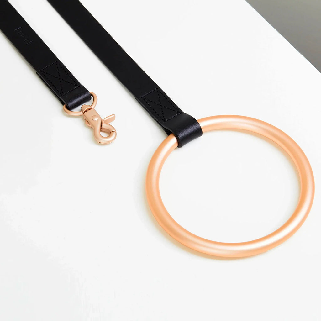 Aluminum and Leather O-ring Leash & Collar Set The Little Pooch