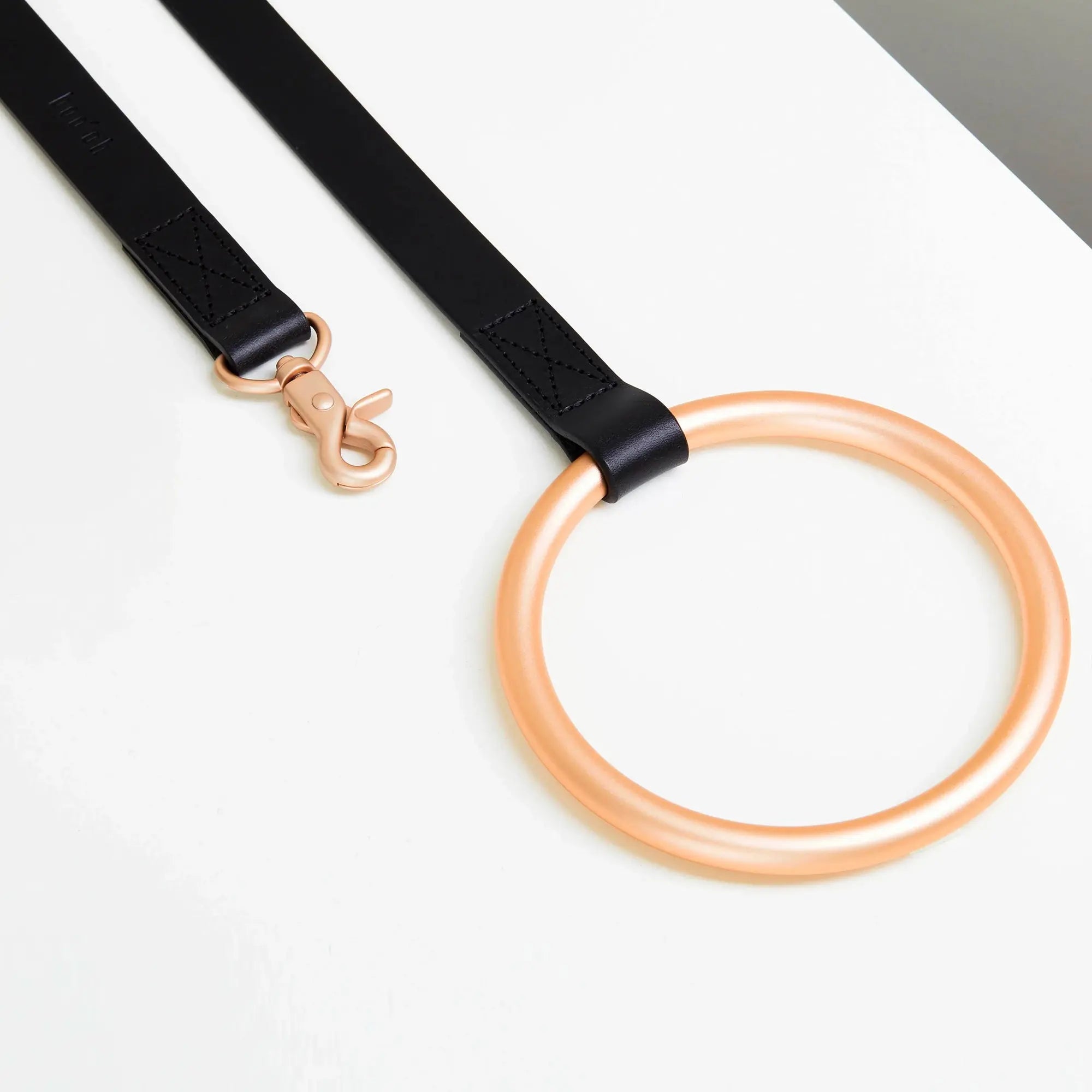 Aluminum and Leather O-ring Leash & Collar Set The Little Pooch