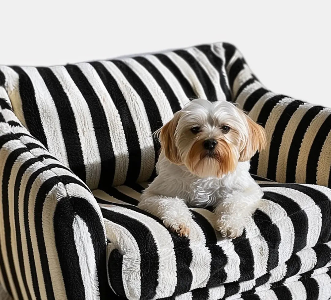 Modern Striped Pet Dog Bed Hunting